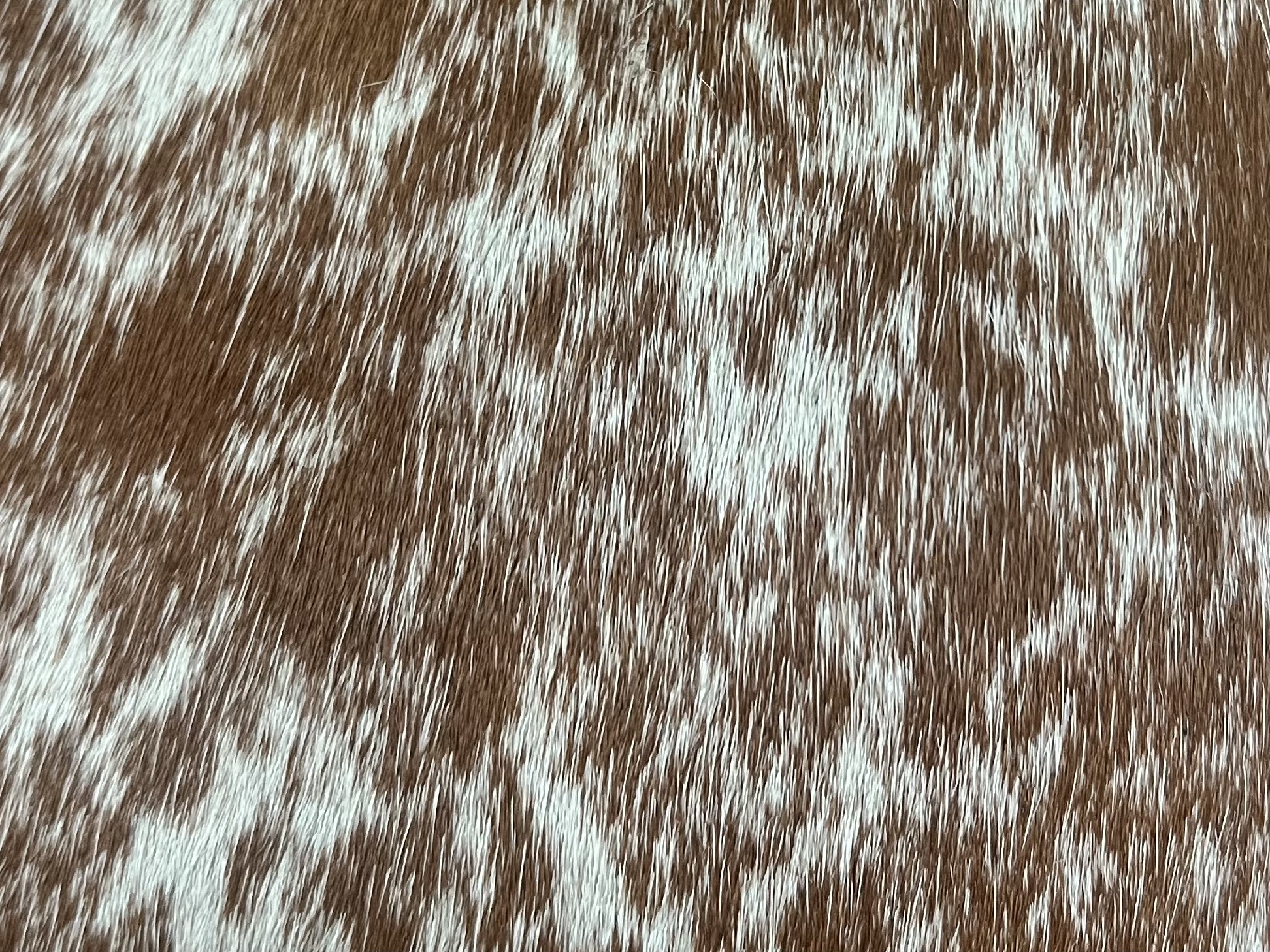 Mini Hide Natural — photo 3